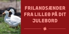 Billede
