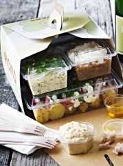 PICNIC